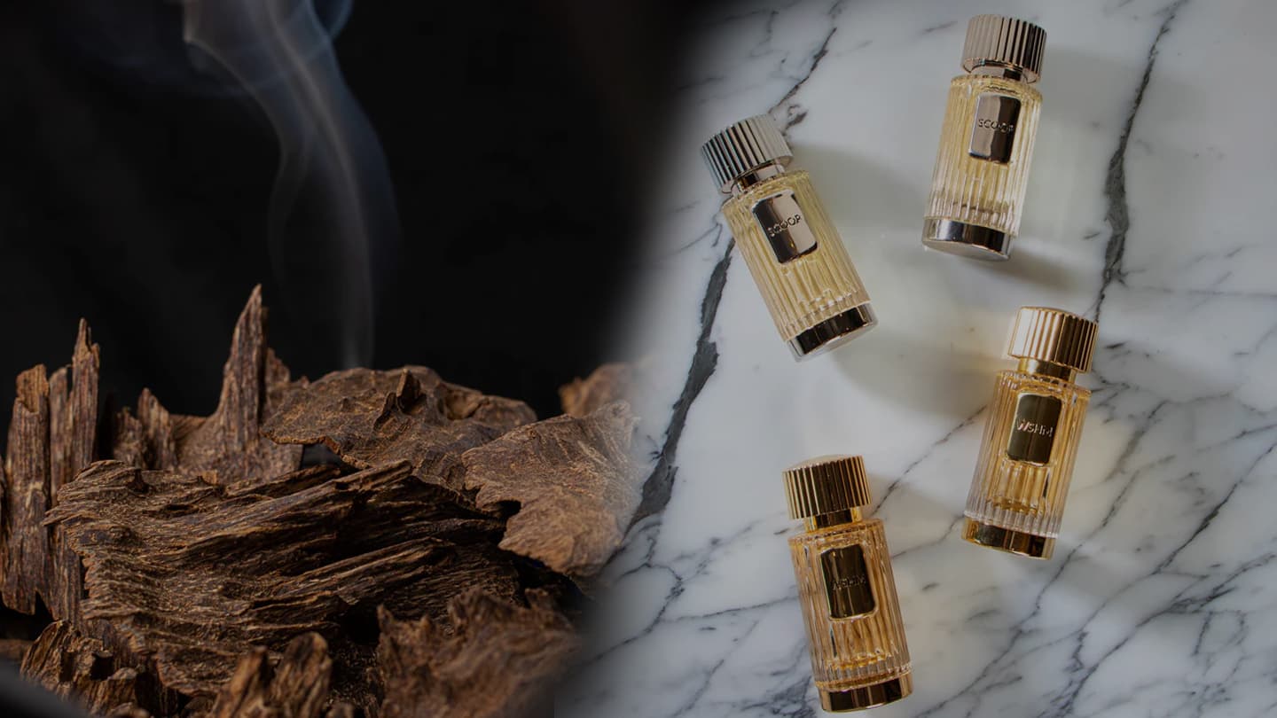 Hekayh Perfumes